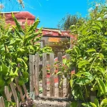 Quaint Artist In Marvelous Nature - Alegrias *