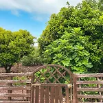 Holiday home Quaint Artist In Marvelous Nature - Alegrias La Orotava