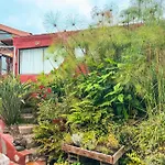 Quaint Artist In Marvelous Nature - Alegrias 拉奥罗塔瓦
