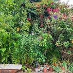 度假居 Quaint Artist In Marvelous Nature - Alegrias *