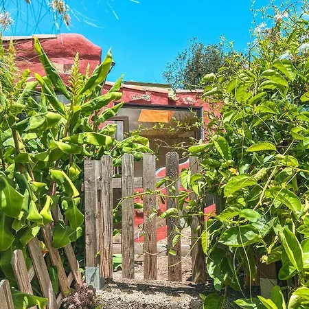 Quaint Artist In Marvelous Nature - Alegrias *