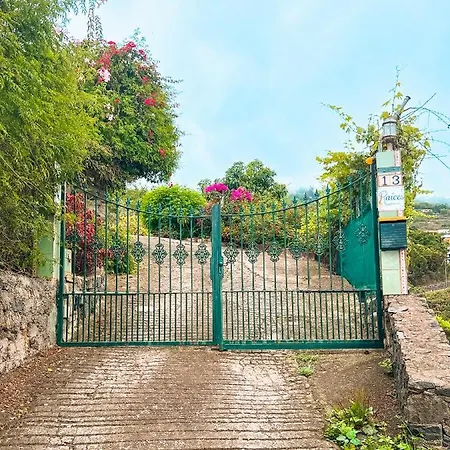 Quaint Artist In Marvelous Nature - Alegrias Ferienhaus La Orotava