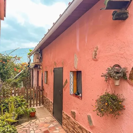 Quaint Artist In Marvelous Nature - Alegrias Ferienhaus La Orotava