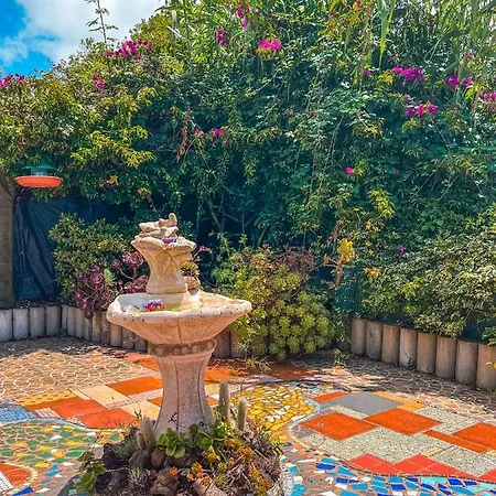 Quaint Artist In Marvelous Nature - Alegrias La Orotava