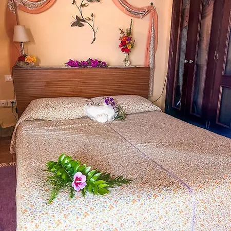 Quaint Artist In Marvelous Nature - Alegrias *