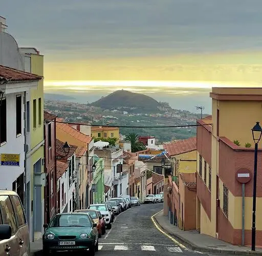 Quaint Artist In Marvelous Nature - Alegrias La Orotava