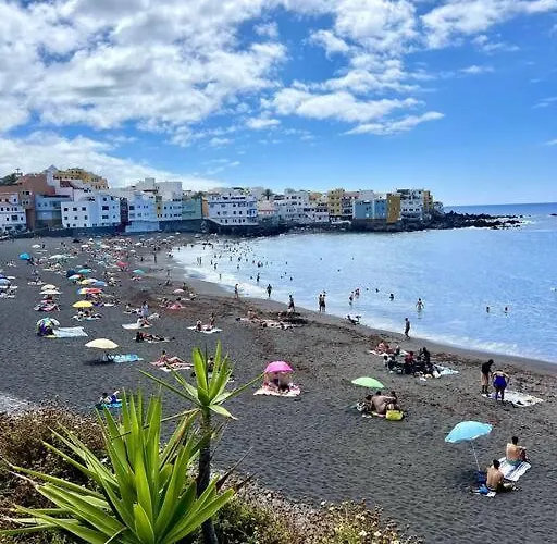 Quaint Artist In Marvelous Nature - Alegrias