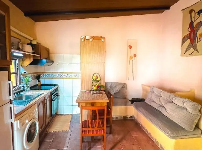 Quaint Artist In Marvelous Nature - Alegrias