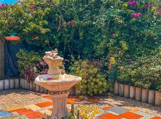 Quaint Artist In Marvelous Nature - Alegrias Ля Оротава