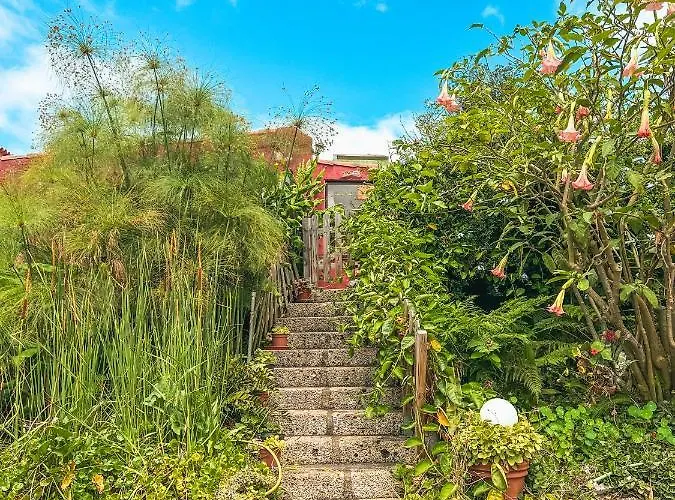 Quaint Artist In Marvelous Nature - Alegrias La Orotava