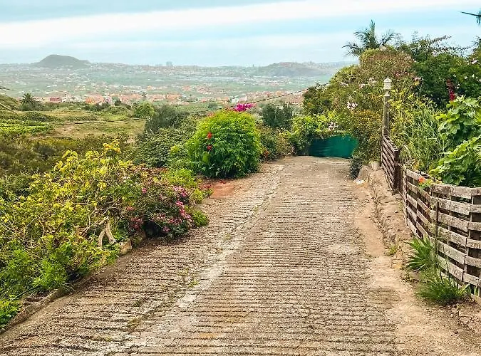 Quaint Artist In Marvelous Nature - Alegrias