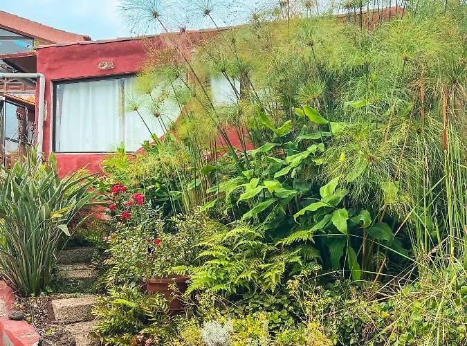 Quaint Artist In Marvelous Nature - Alegrias Ля Оротава