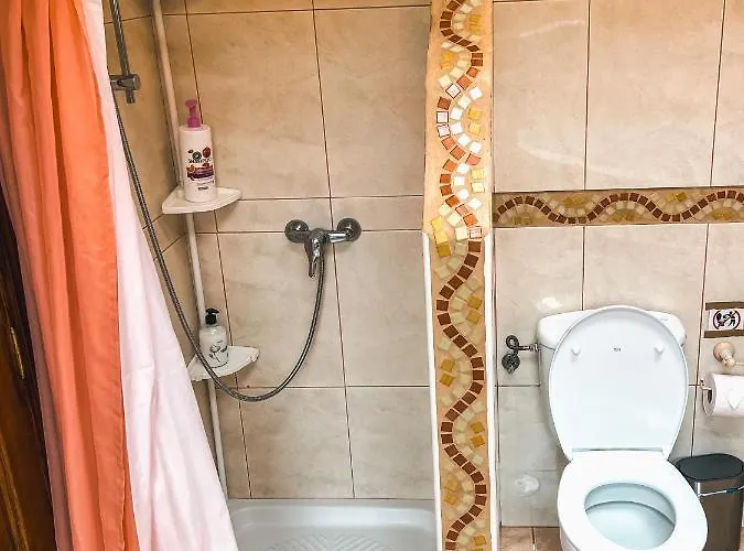 Quaint Artist In Marvelous Nature - Alegrias * La Orotava