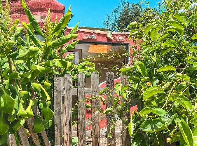 Quaint Artist In Marvelous Nature - Alegrias *