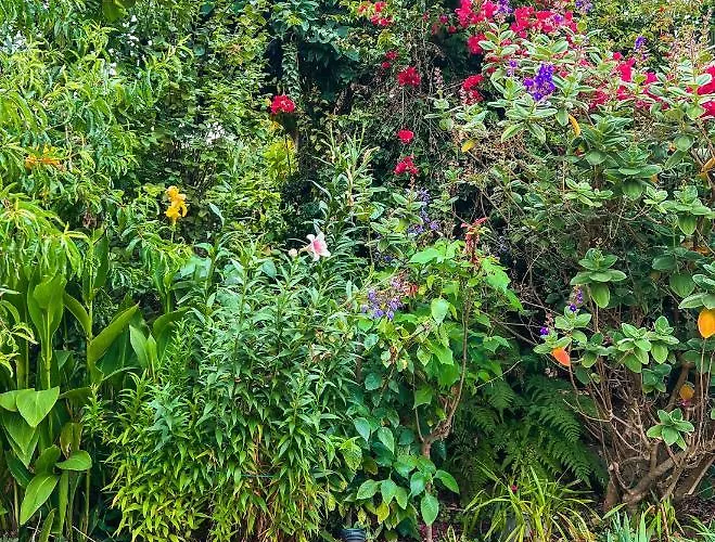 Hébergement de vacances Quaint Artist In Marvelous Nature - Alegrias *