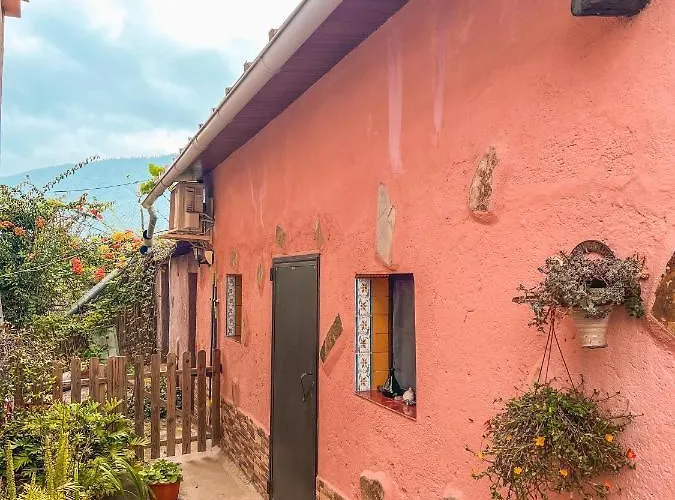 Quaint Artist In Marvelous Nature - Alegrias Дом отдыха Ля Оротава