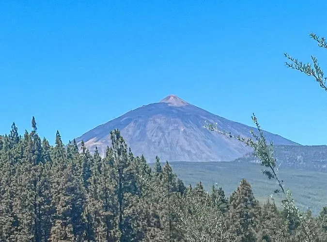 Quaint Artist In Marvelous Nature - Alegrias * La Orotava