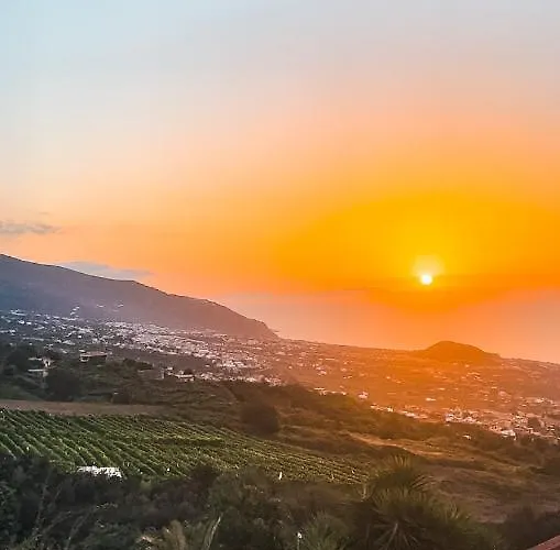 Quaint Artist In Marvelous Nature - Alegrias *