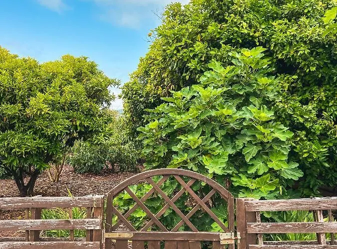 Hébergement de vacances Quaint Artist In Marvelous Nature - Alegrias La Orotava