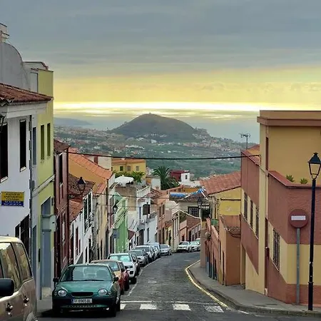 Quaint Artist In Marvelous Nature - Alegrias La Orotava