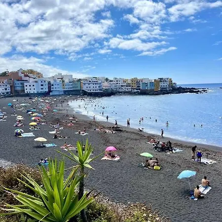 Quaint Artist In Marvelous Nature - Alegrias