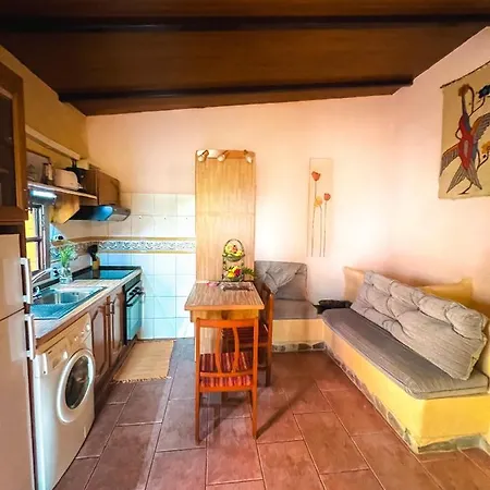 Quaint Artist In Marvelous Nature - Alegrias