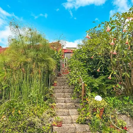 Quaint Artist In Marvelous Nature - Alegrias La Orotava