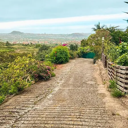 Quaint Artist In Marvelous Nature - Alegrias