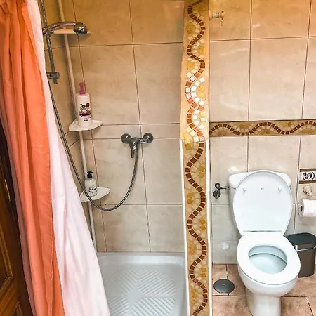 Quaint Artist In Marvelous Nature - Alegrias * La Orotava