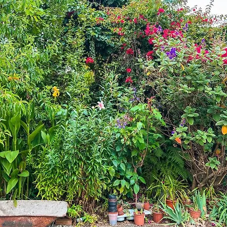 Сasa de vacaciones Quaint Artist In Marvelous Nature - Alegrias *